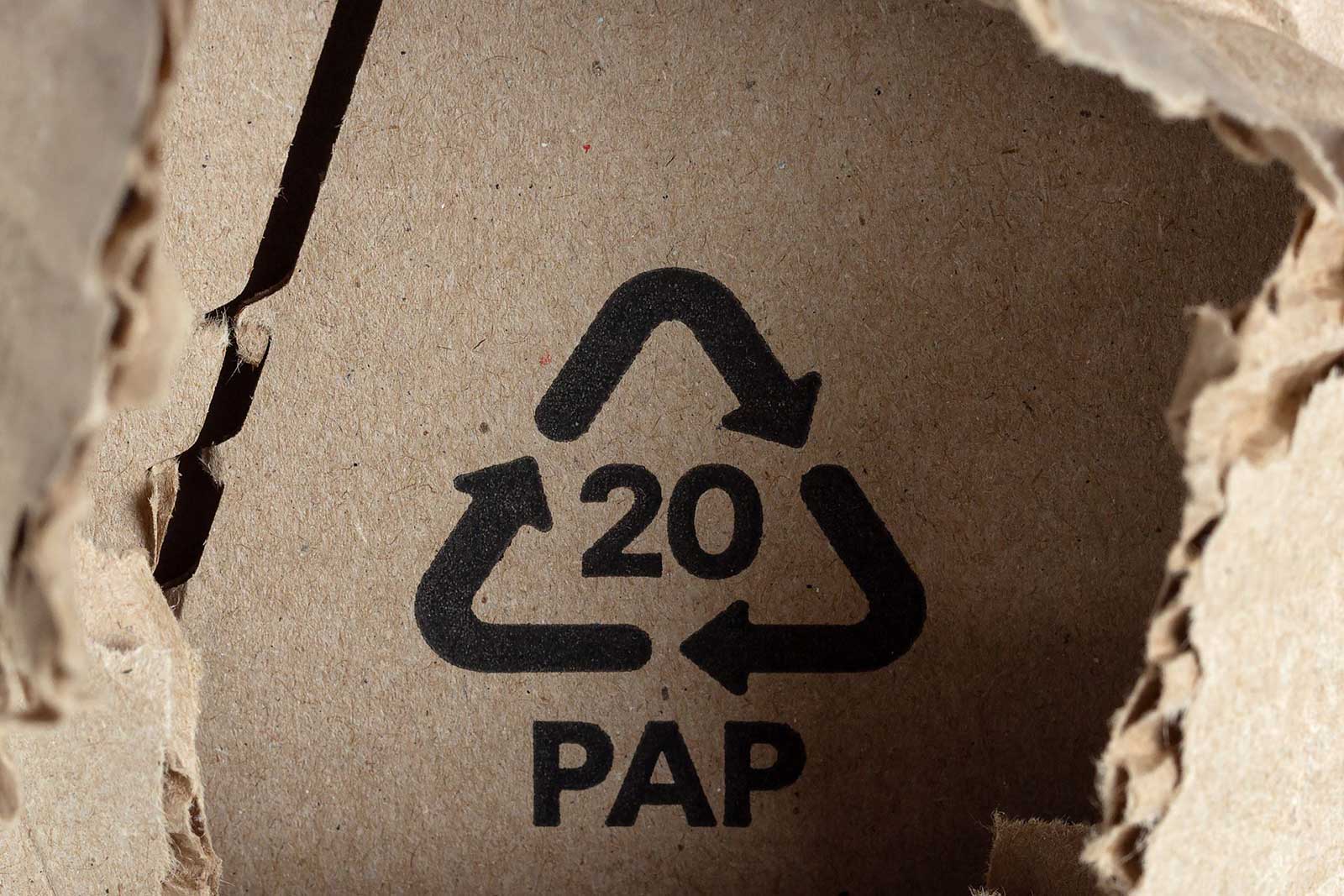 CLP - Etichetta ambientale PAP20